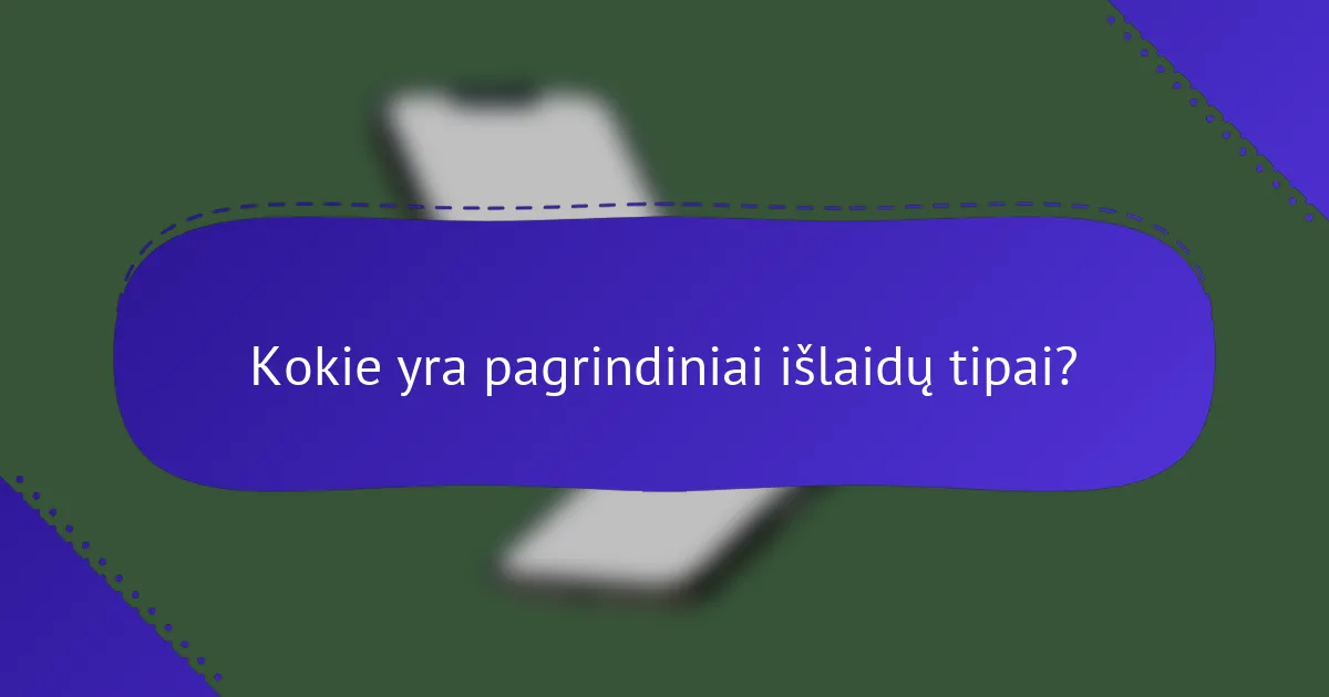 Kokie yra pagrindiniai išlaidų tipai?